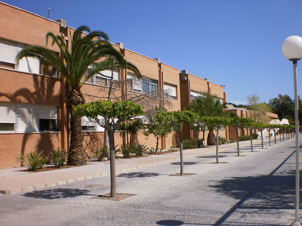 Campus of the University of Alicante 6