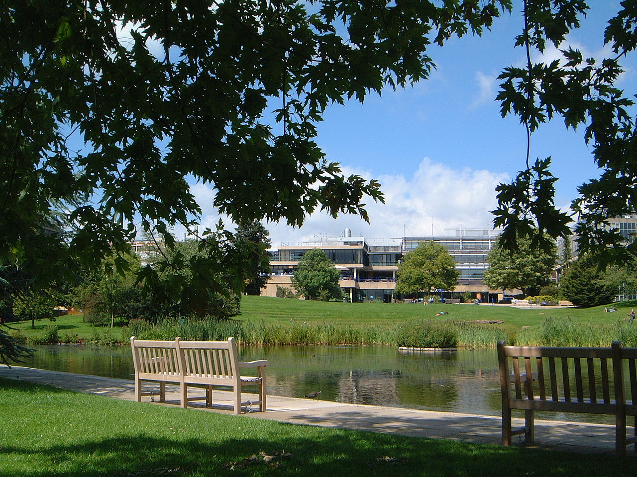 University of Bath - campus lake scene